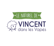 Vincent Dans les Vapes (VDLV)