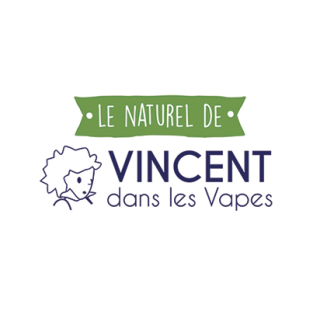 Vincent Dans Les Vapes (VDLV)